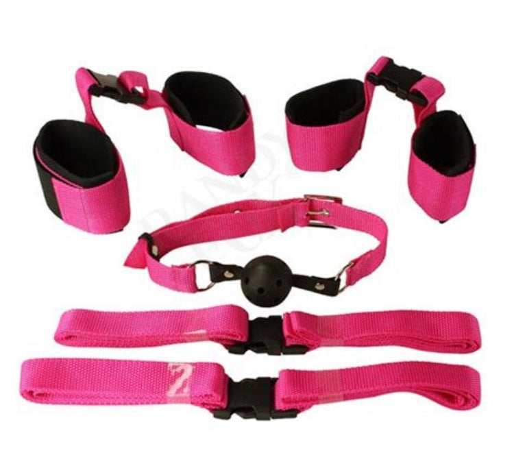 Pink Passion Bondage Kit